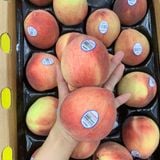  Đào trắng Family Tree Mỹ (200-250G/Trái) 