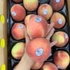 Đào trắng Family Tree Mỹ