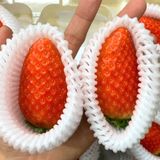  Dâu Kings Berry Vip Hàn Quốc hộp 350 g 