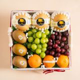  Giỏ Đan Trái Cây Các Loại Tone Trắng Tiêu Chuẩn 