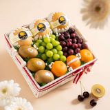  Giỏ Đan Trái Cây Các Loại Tone Trắng Tiêu Chuẩn 