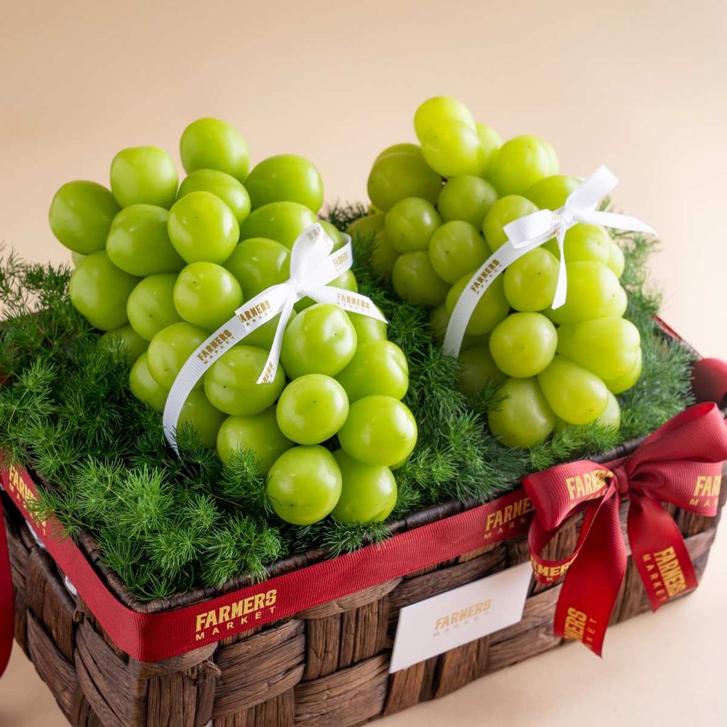  Qiỏ Lục Bình Nho Mẫu Đơn 
