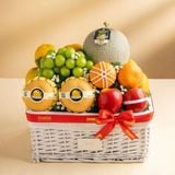  Giỏ quà trái cây tươi các loại tone trắng tiêu chuẩn 