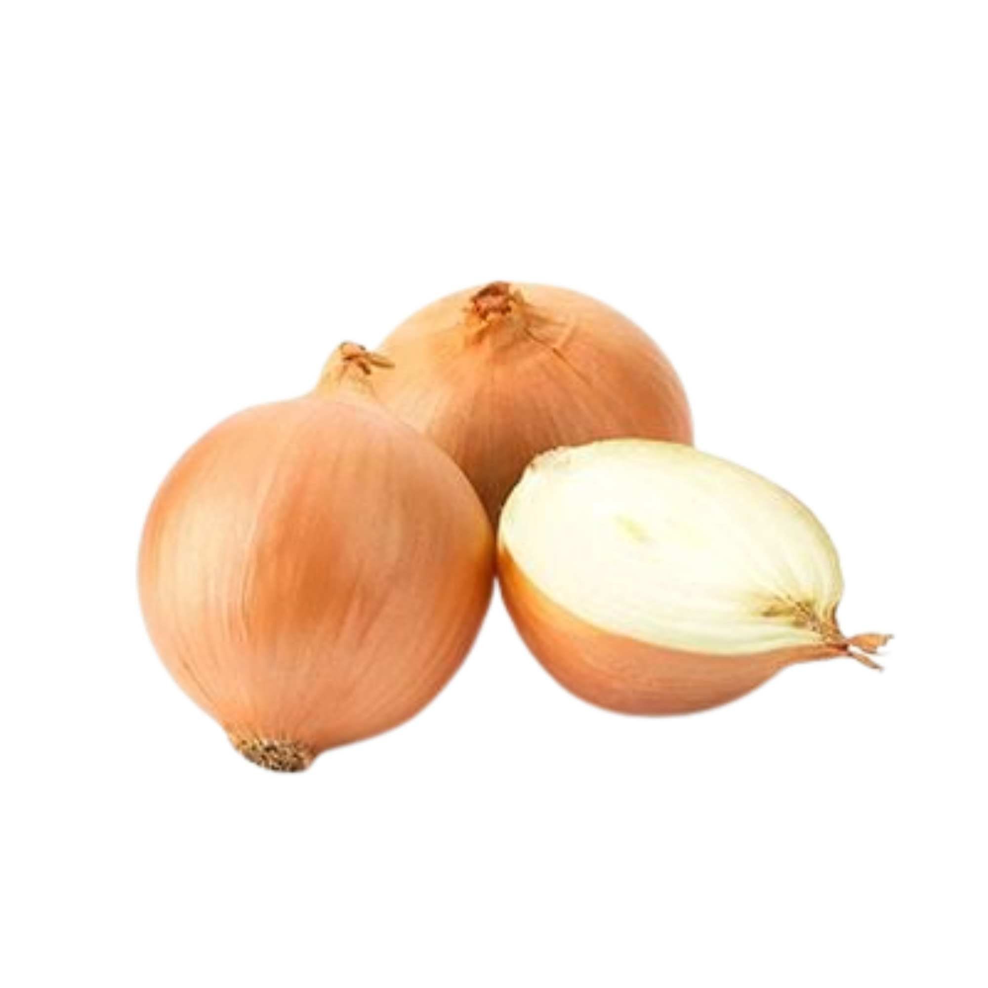  Hành tây Vietgap Bio Ngon 450 g 