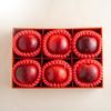 Hộp Quà 6 Trái Táo Đỏ Tone Đỏ Cơ Bản