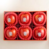  Hộp Quà 6 Trái Táo Envy Tone Đỏ Cơ Bản 