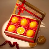  Hộp Quà Cam Vàng Tone Đỏ Cơ Bản 