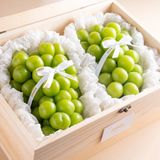  Hộp Quà Nho Mẫu Đơn Hàn Quốc 