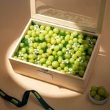  Hộp Quà Nho Xanh Tinh Tế 