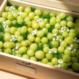  Hộp Quà Nho Xanh Tinh Tế 