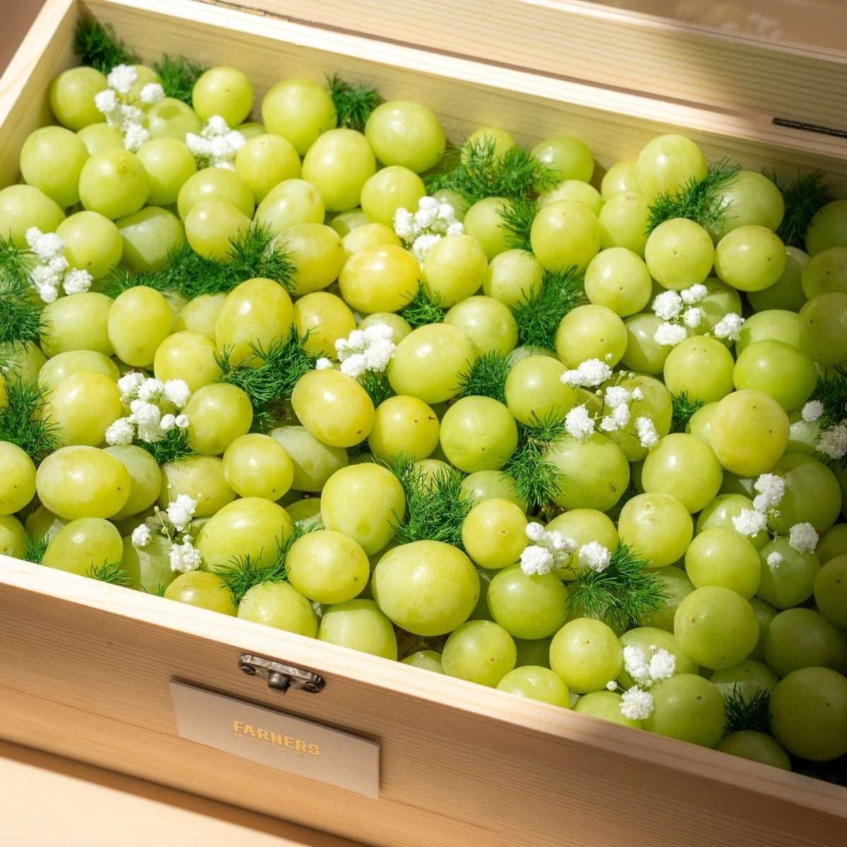  Hộp Quà Nho Xanh Tinh Tế 