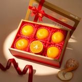  Hộp Quà Quýt Size L Tone Đỏ Cơ Bản 