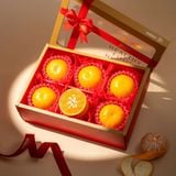  Hộp Quà Quýt Size M Tone Đỏ Cơ Bản 