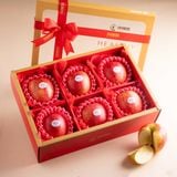  Hộp Quà Táo Envy Size 100 - 110 Tone Đỏ Cơ Bản 