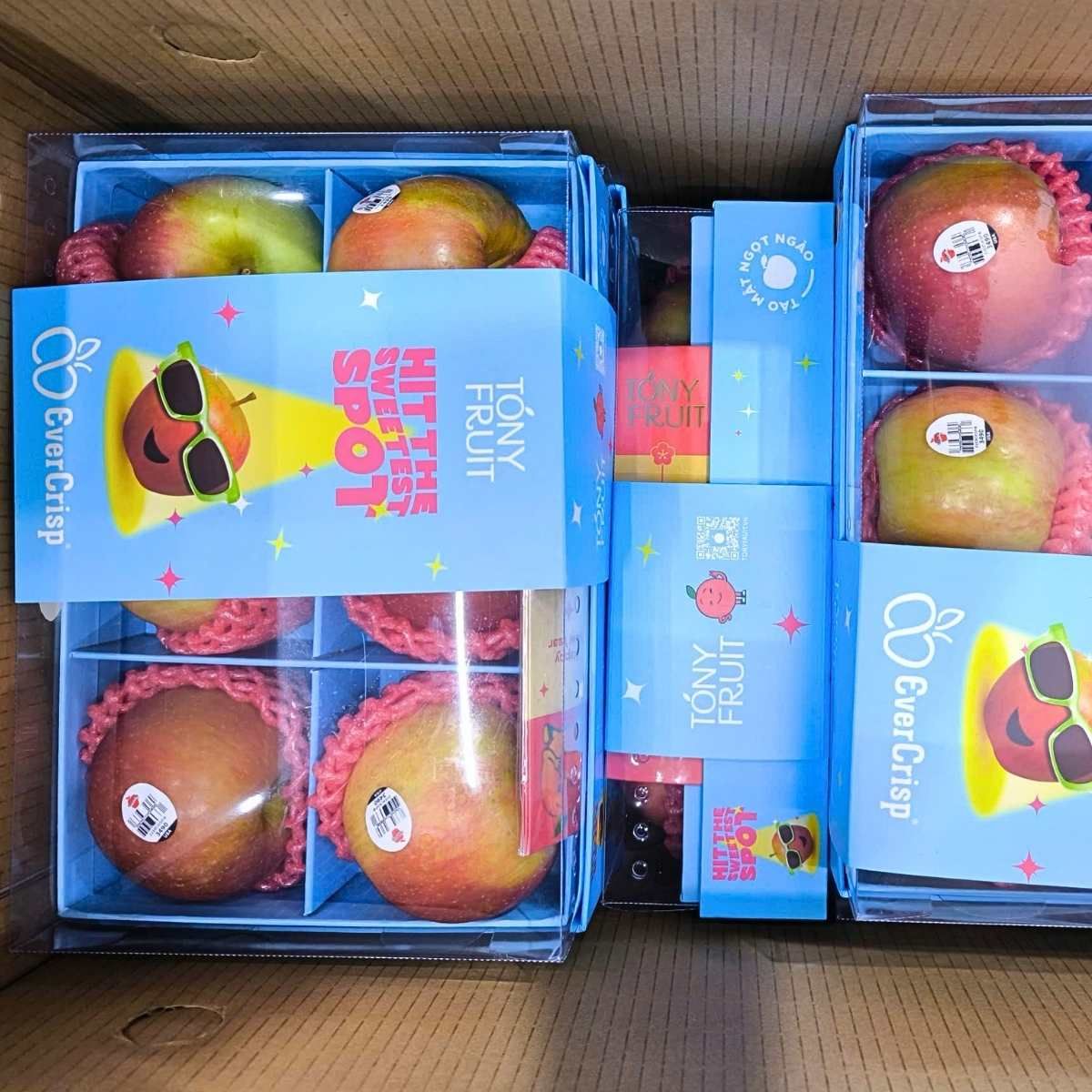  Hộp quà táo Ever Crisp Mỹ 6 trái 