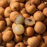  Hộp Tre Đan Nhãn Bắp Cãi Vũng Tàu 