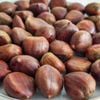 Hạt dẻ tươi nội địa Trung