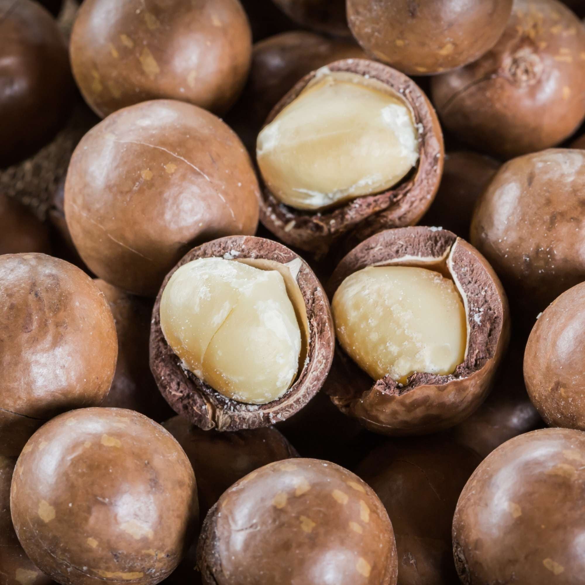  Hạt mắc ca úc Farmers Fine Foods 170 g 