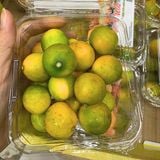  Kim quất đường nội địa Trung hộp 200 g 