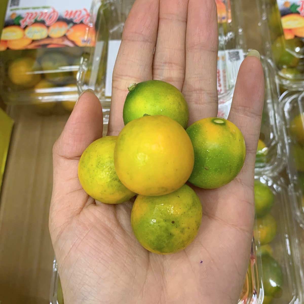  Kim quất đường nội địa Trung hộp 200 g 