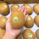  Kiwi vàng nội địa Trung 