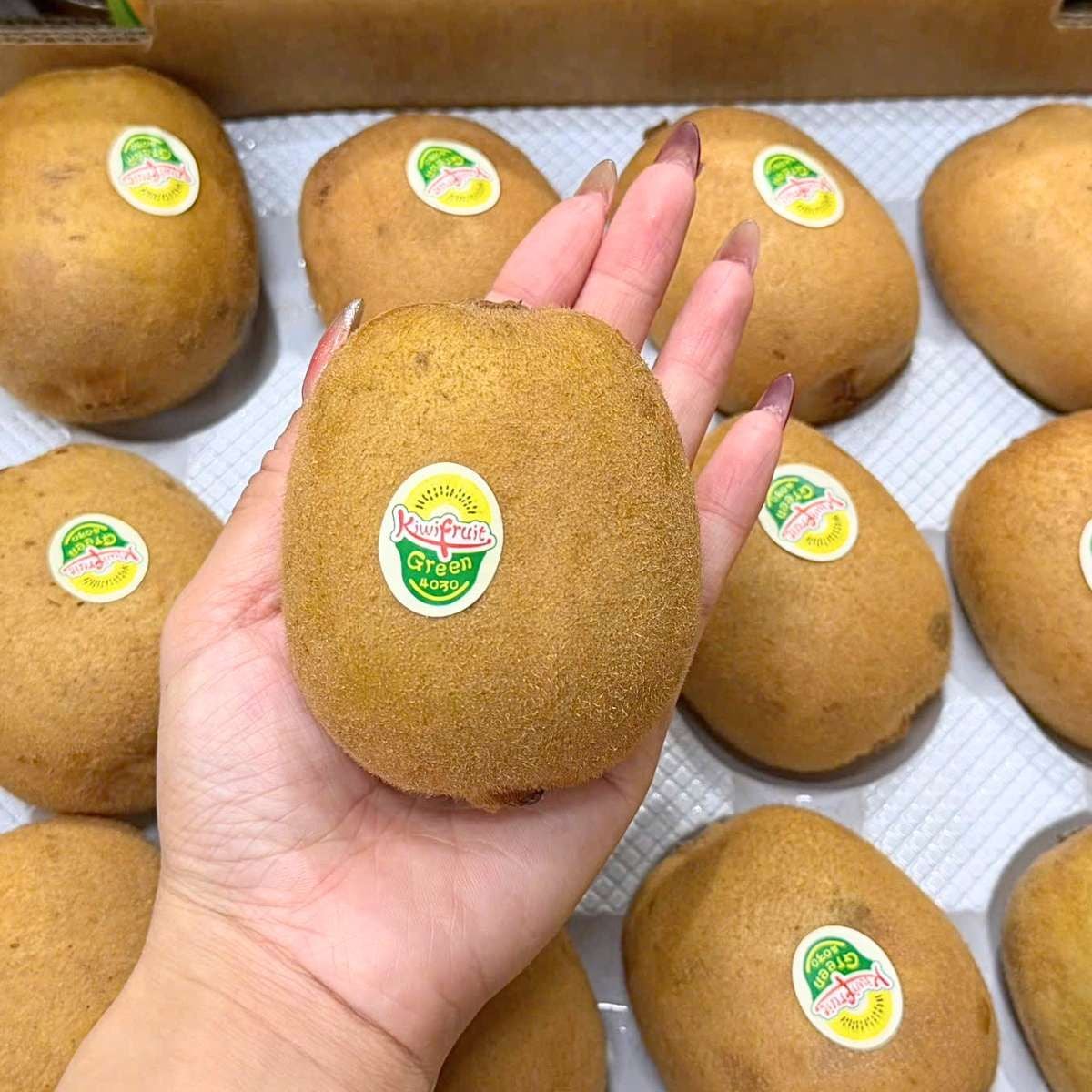  Kiwi vàng nội địa Trung 