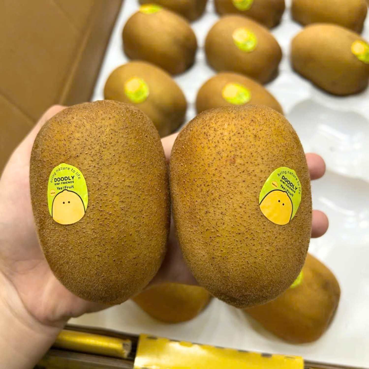  Hộp kiwi vàng nội địa Trung 4 trái 
