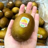  Hộp Kiwi vàng Pháp 4 trái - Size XL 