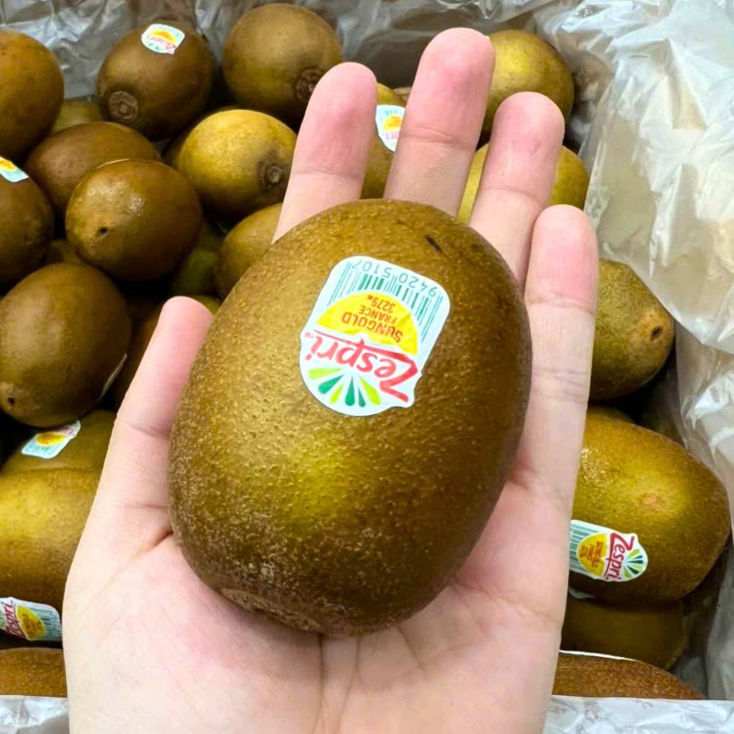  Kiwi vàng Pháp size XL 