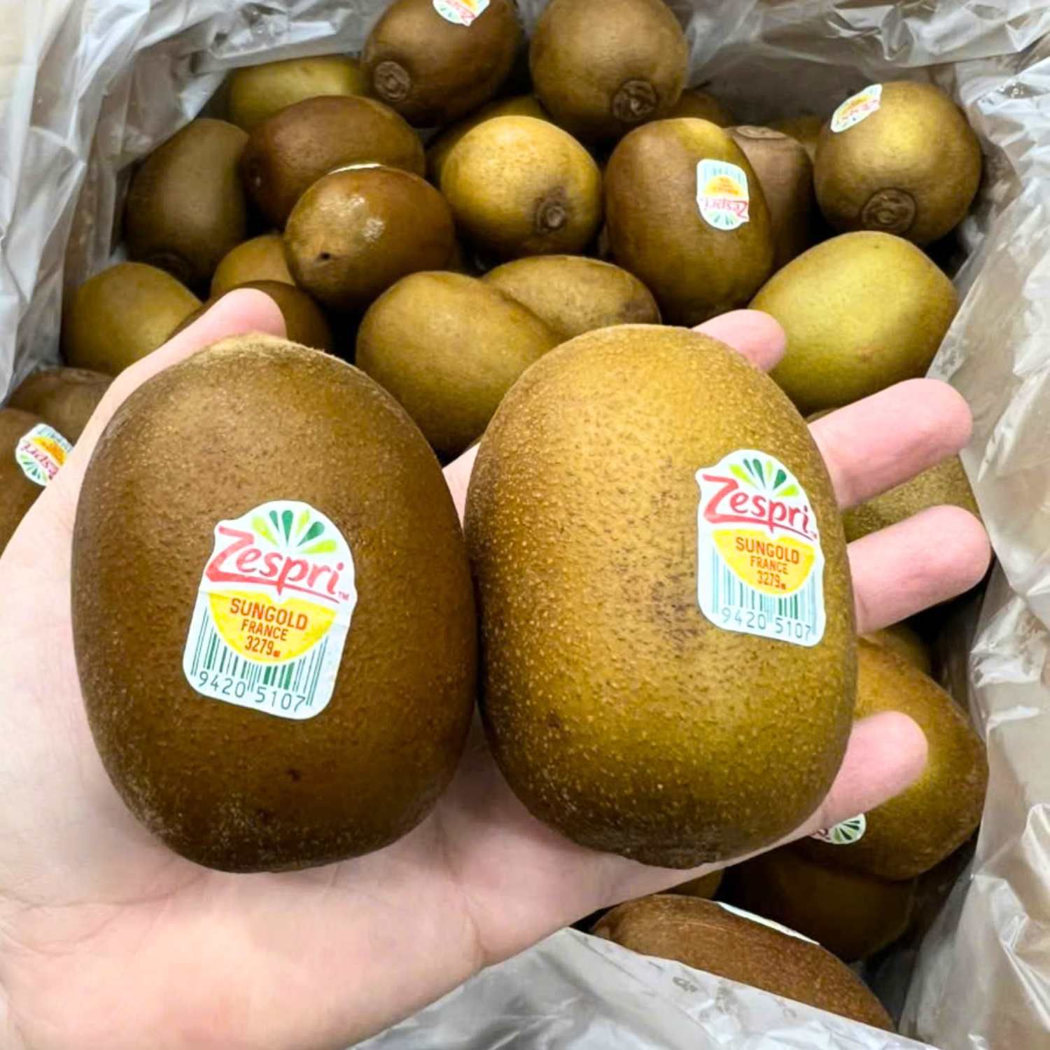  Hộp Kiwi vàng Pháp 2 trái - Size M 