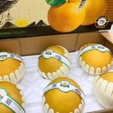  Lê Vip Hàn Quốc size 5 - 8 