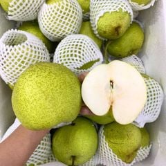 Lê xanh đường nội địa Trung