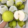Lê xanh đường nội địa Trung