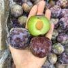 Mận tím mật ong nội địa Trung (500g)