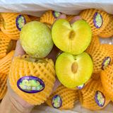 Mận vàng mật ong nội địa Trung 