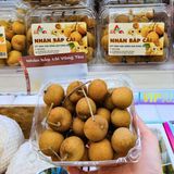  Nhãn bắp cải Vũng Tàu (I0007591) 