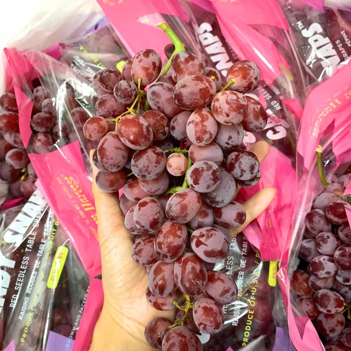  Nho đỏ kẹo Candy Snaps Mỹ - 500G 