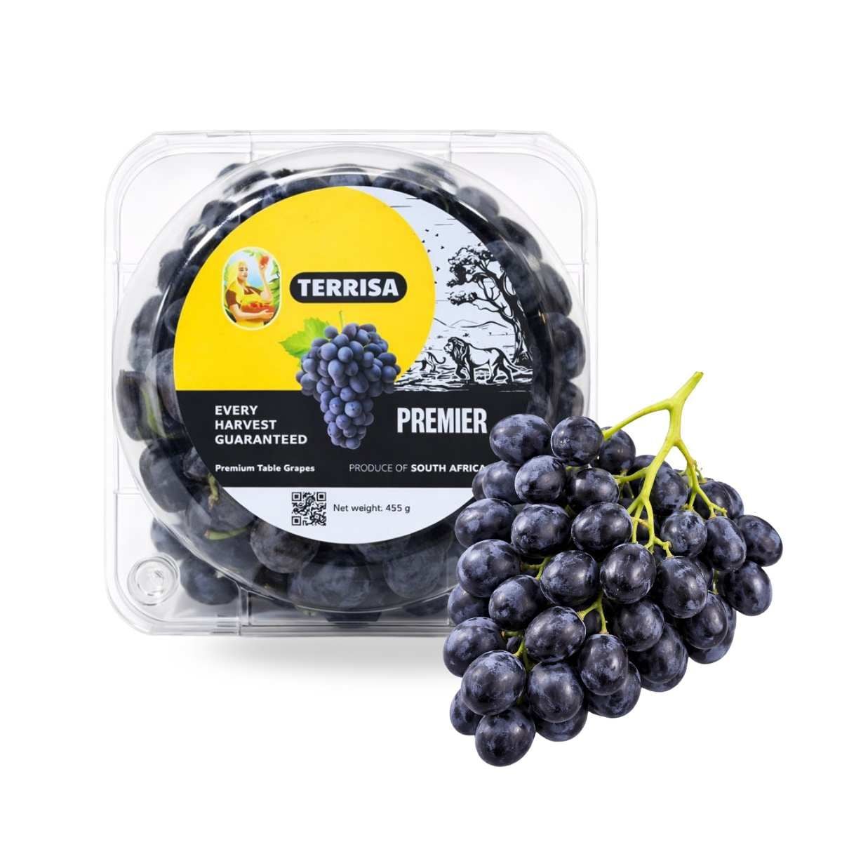  Nho đen thơm kẹo Nam Phi hộp 450G 