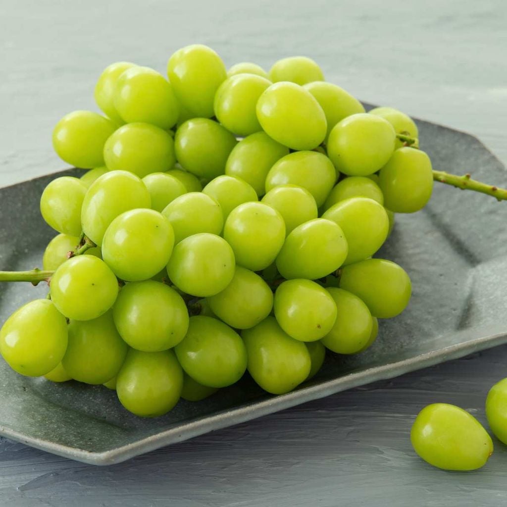  Nho mẫu đơn nội địa Trung (450 - 550G/Hộp) (không nguyên chùm) 