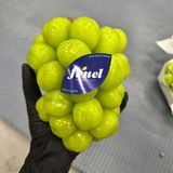  Nho mẫu đơn Premium Hàn Quốc 450G (I0008043) 