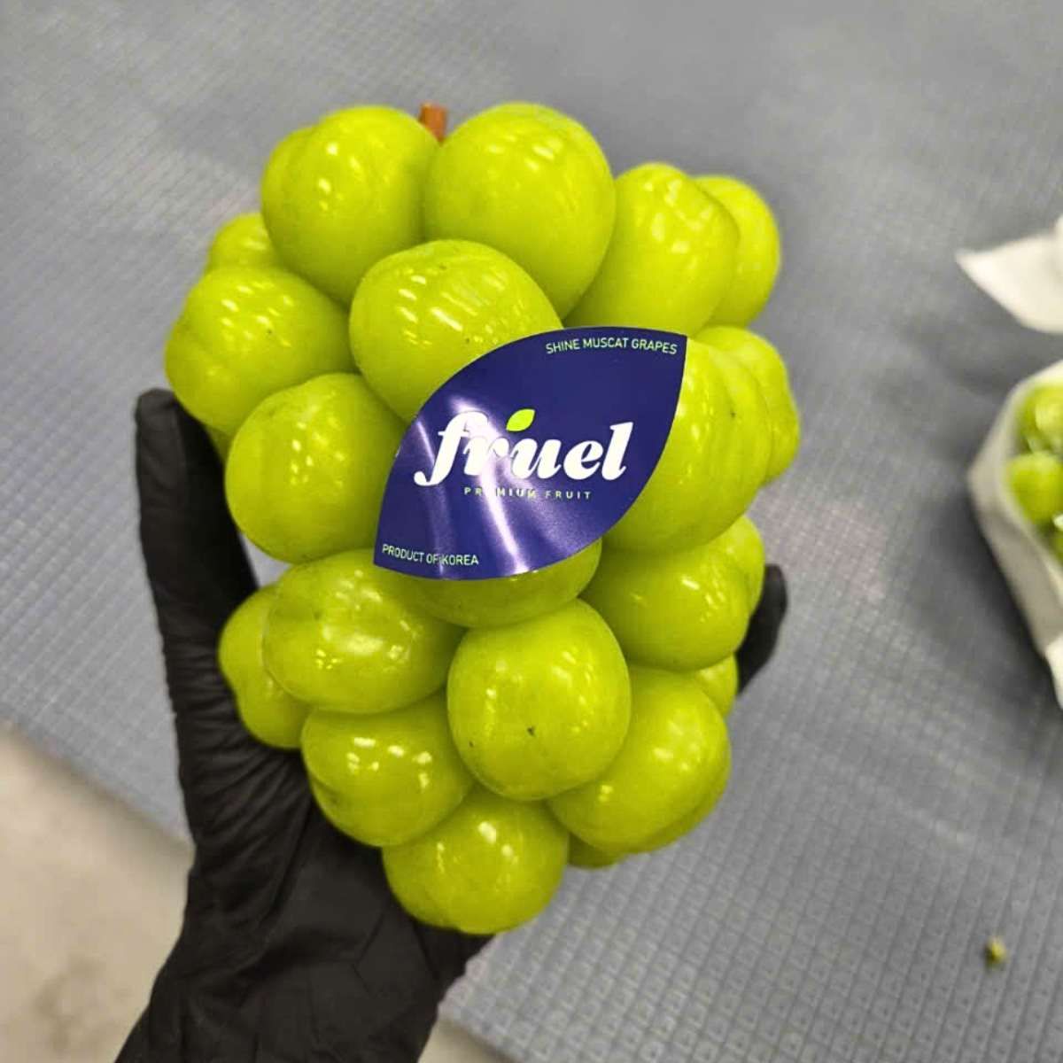  Nho mẫu đơn Premium Hàn Quốc 450G (I0008043) 