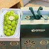 Nho mẫu đơn Premium Hàn Quốc 850 - 900 g