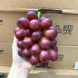  Nho mẫu đơn Red Ruby Premium Hàn Quốc 450G/Hộp 