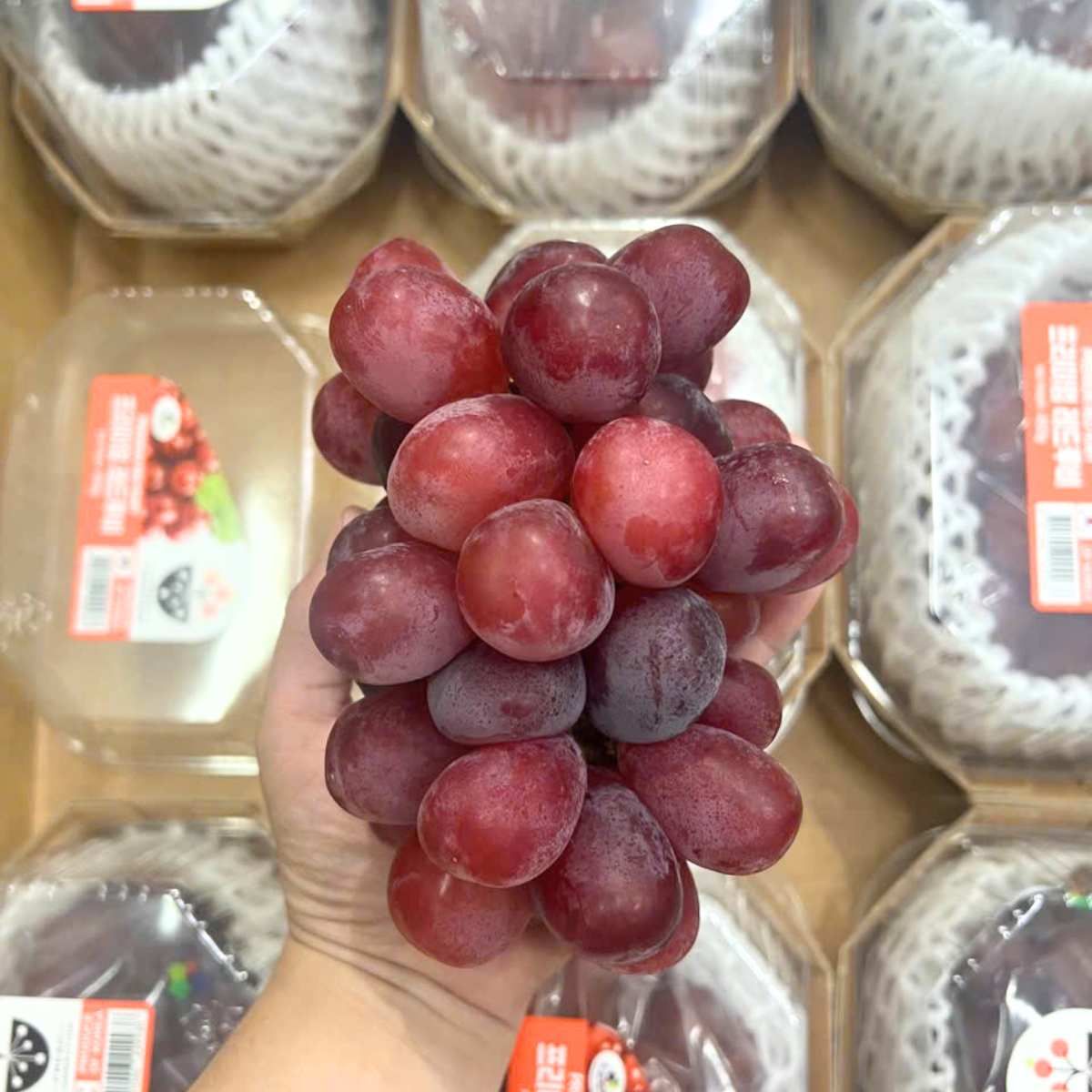  Nho mẫu đơn Red Ruby Premium Hàn Quốc 450G/Hộp 