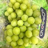 Nho xanh Ivory Mỹ - 500G (I0004537) 