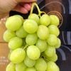 Nho xanh Sweet Globe Premium Úc