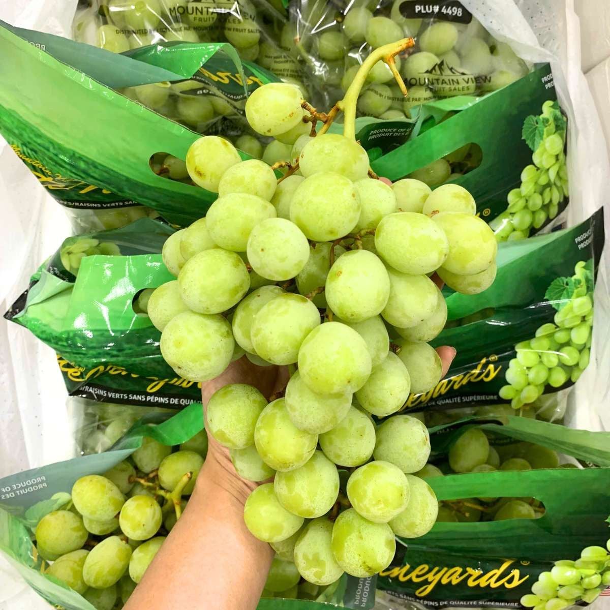  Nho xanh Sweet Globe Premium Mỹ 