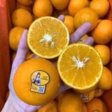  Quýt nội địa Trung size S (I0025343) 