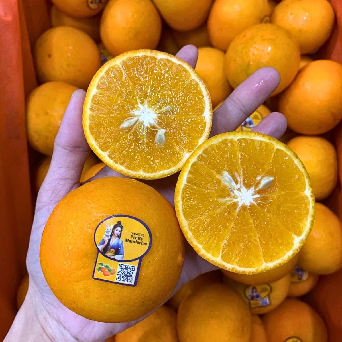  Quýt nội địa Trung size S (I0025343) 