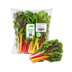 Rau cải cầu vồng hữu cơ Ctfarm 300 g
